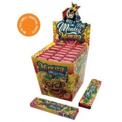 KING MONKEY KS Mimosa (Fr....